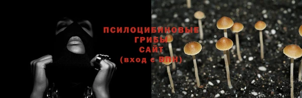 гидропоника Абинск