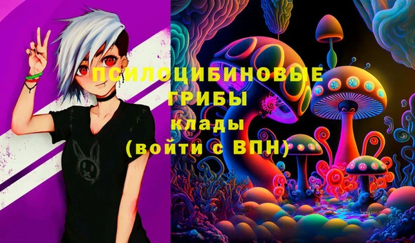 спайс Абаза