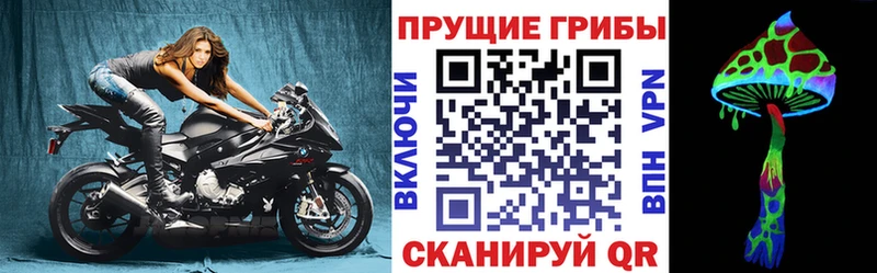 наркошоп  Задонск  Псилоцибиновые грибы ЛСД 